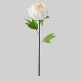 SMYCKA Artificial flower, Peony/white, 30 cm